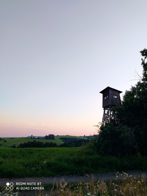 summer evenings
