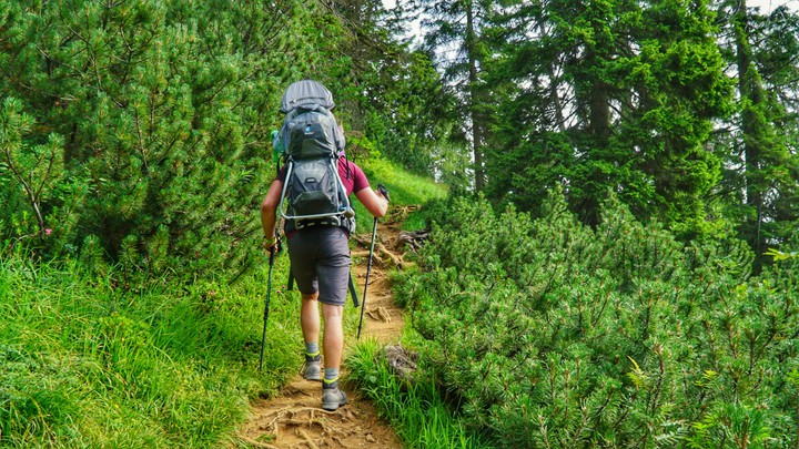 Man hiking in the Alps
