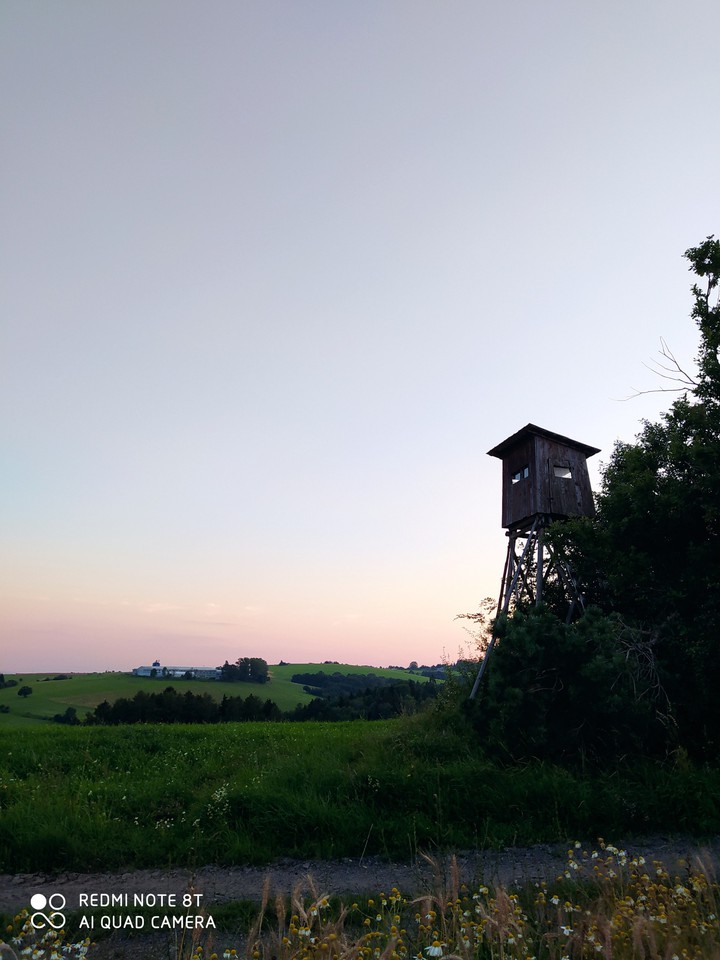 summer evenings