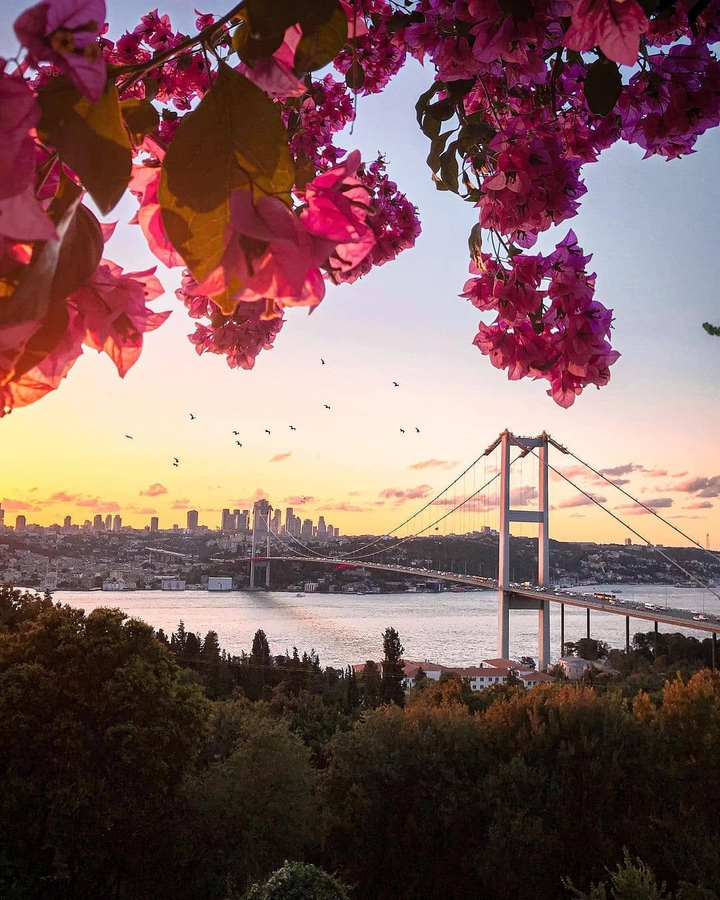 İstanbul boğaz köprüsünden