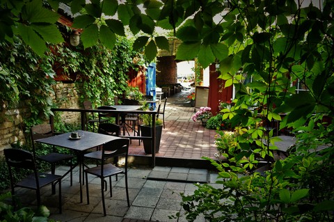 Wild and cosy pizzeria