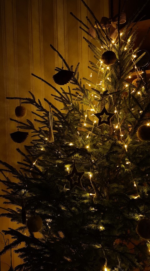 larch, ornament壁纸