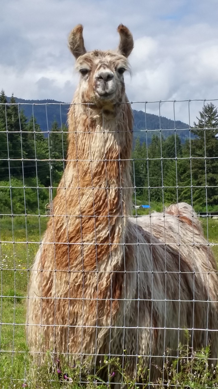 Smile!