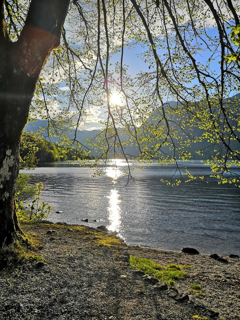 evening on bohin Bohinj