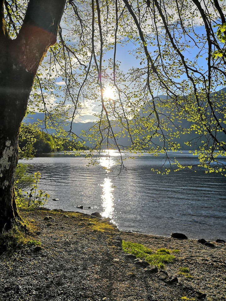 evening on bohin Bohinj