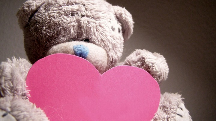 Teddy Bear