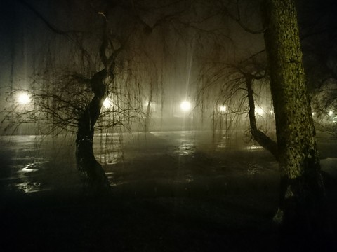 Park Orunski nocą