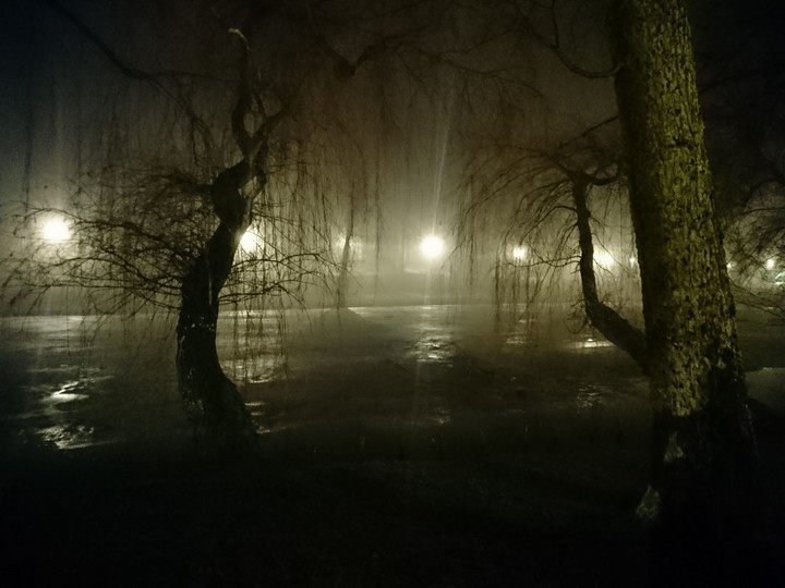 Park Orunski  nocą