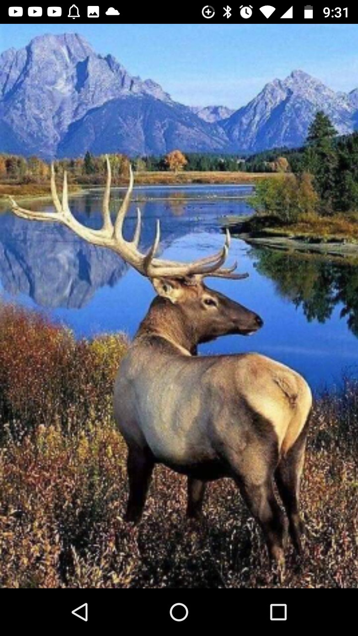 nature