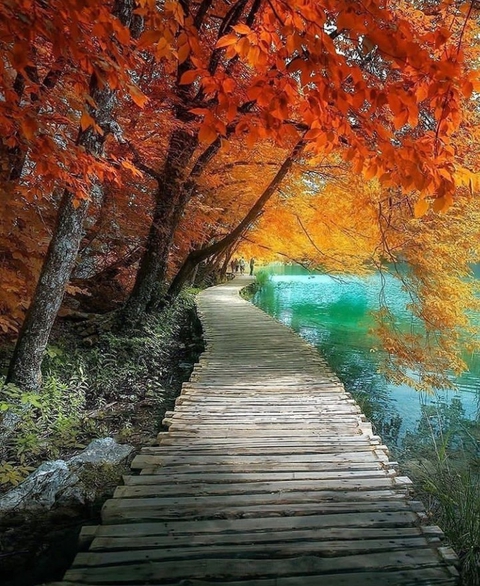 Autumn