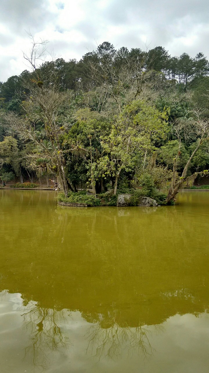 Island