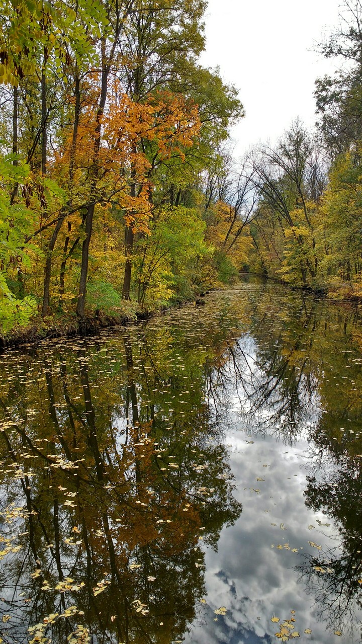 река