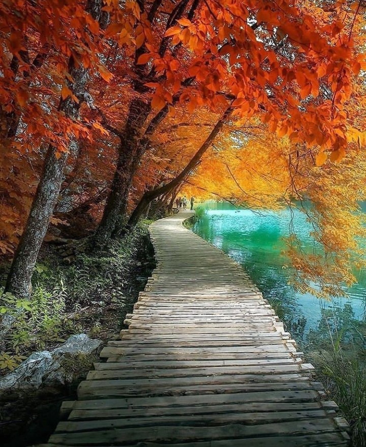 Autumn