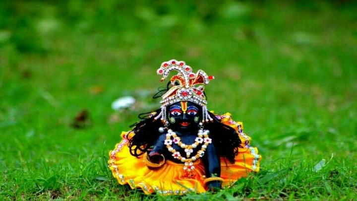 Ladoo gopal