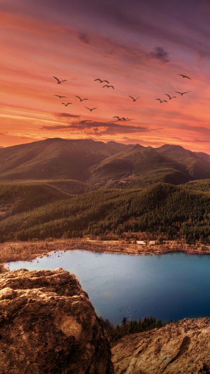 Nature