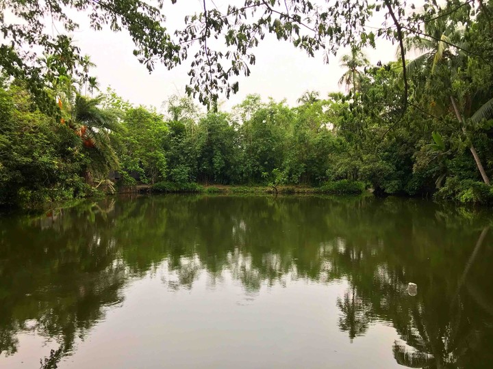 Natural Lake