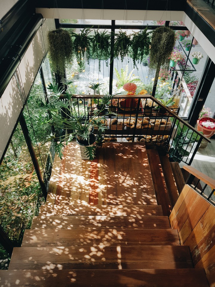 Shadow of colorful leaves