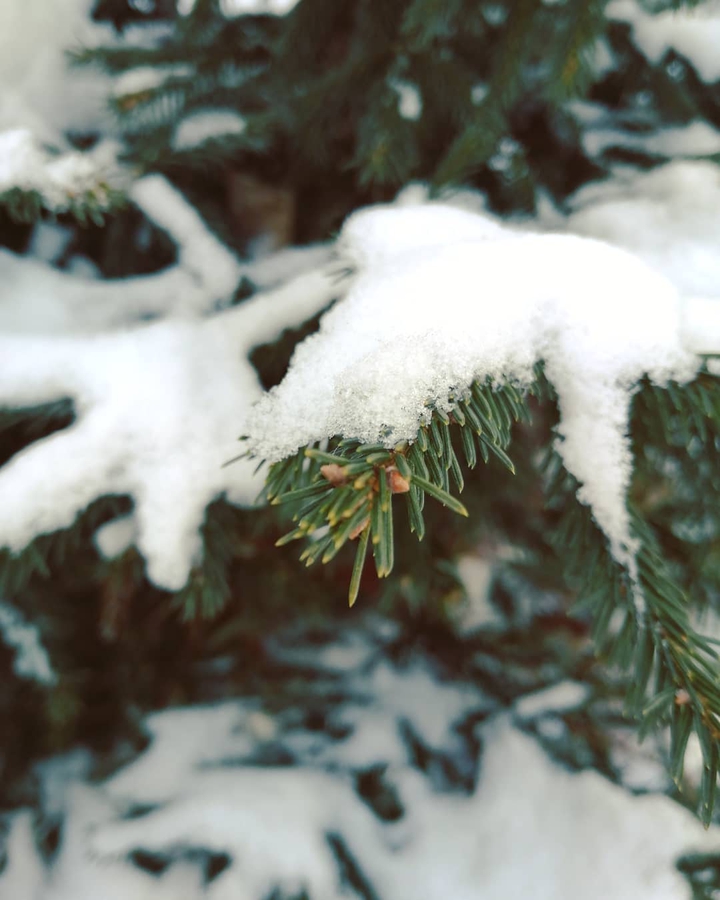 snow