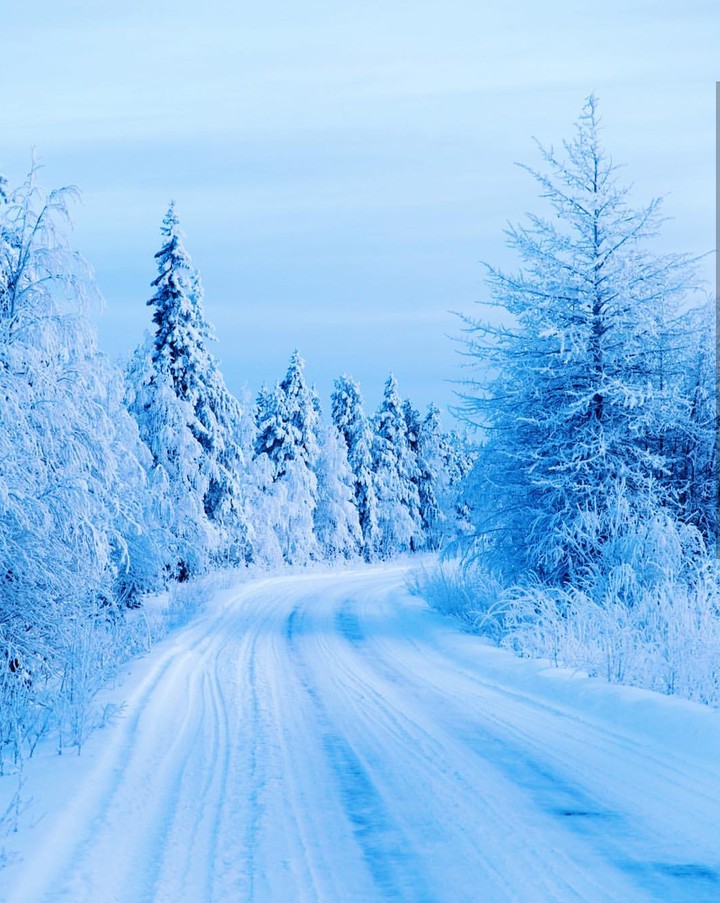 artic Winter
