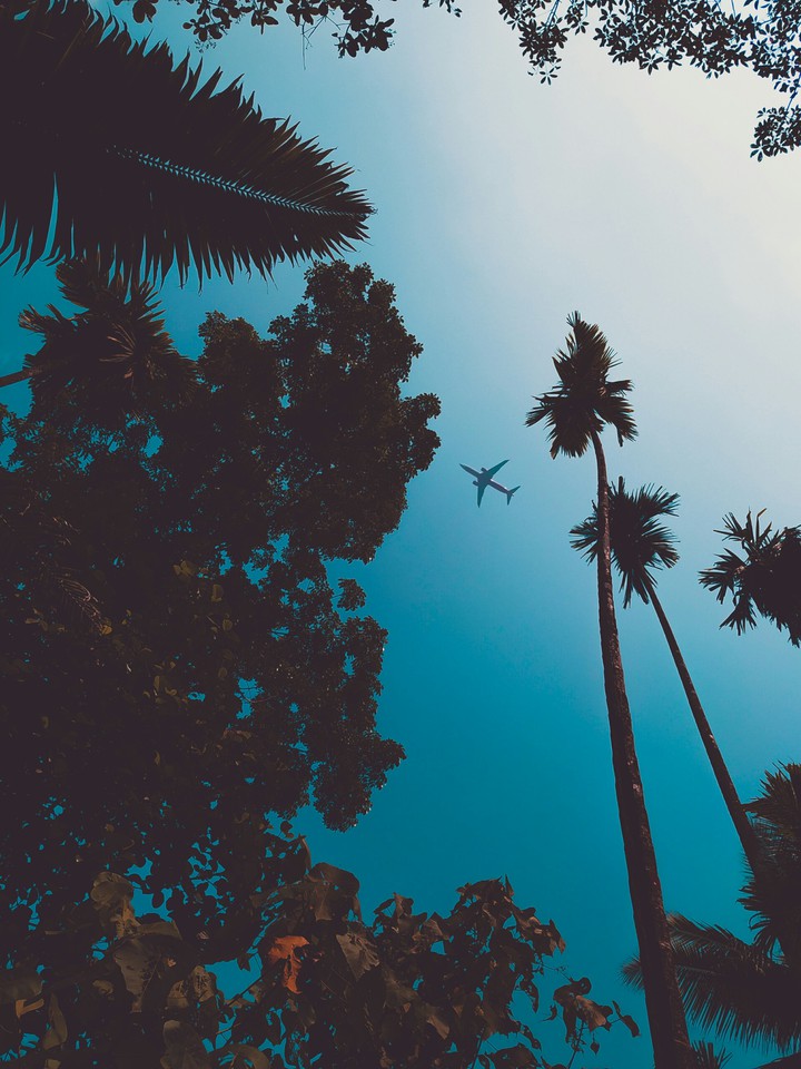 airplane
