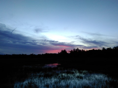 naight sun