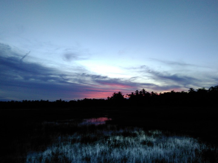 naight sun