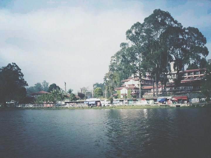 from the beautiful scenics of kodaikanal