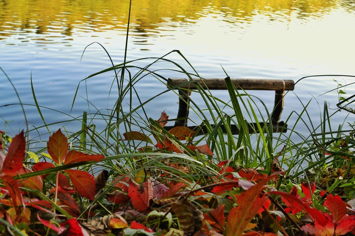 Autumn colours