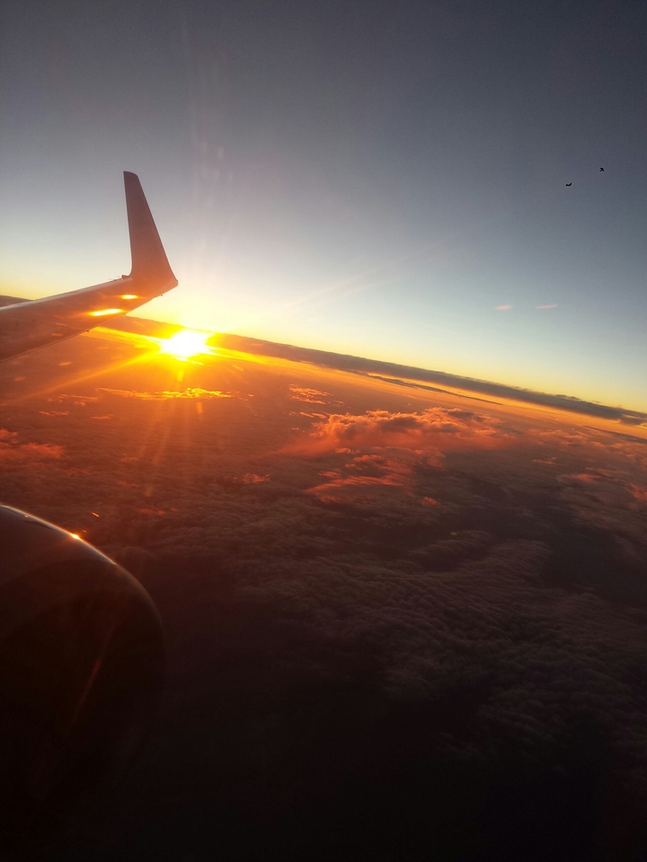 Plane sunset