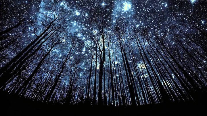 stars in the sky