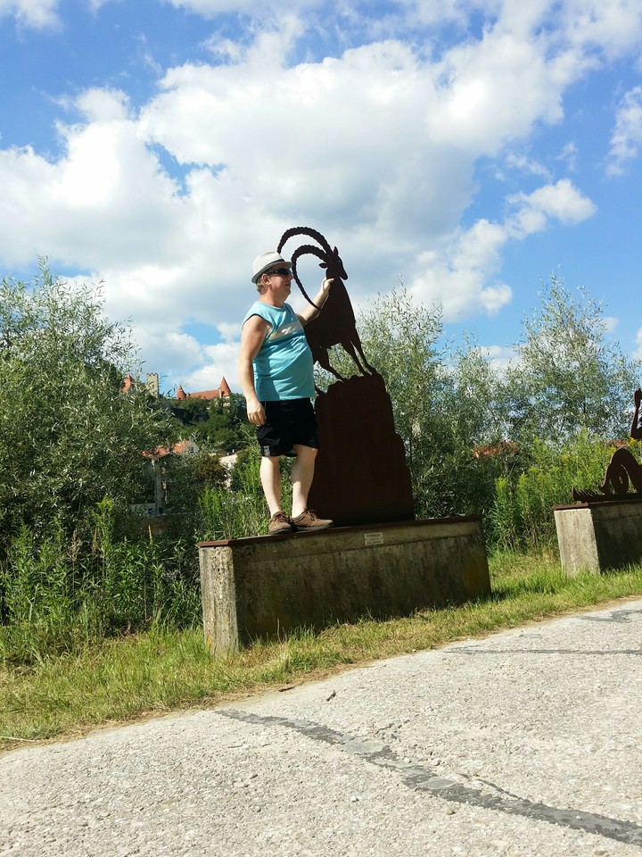 Der Steinbock '.