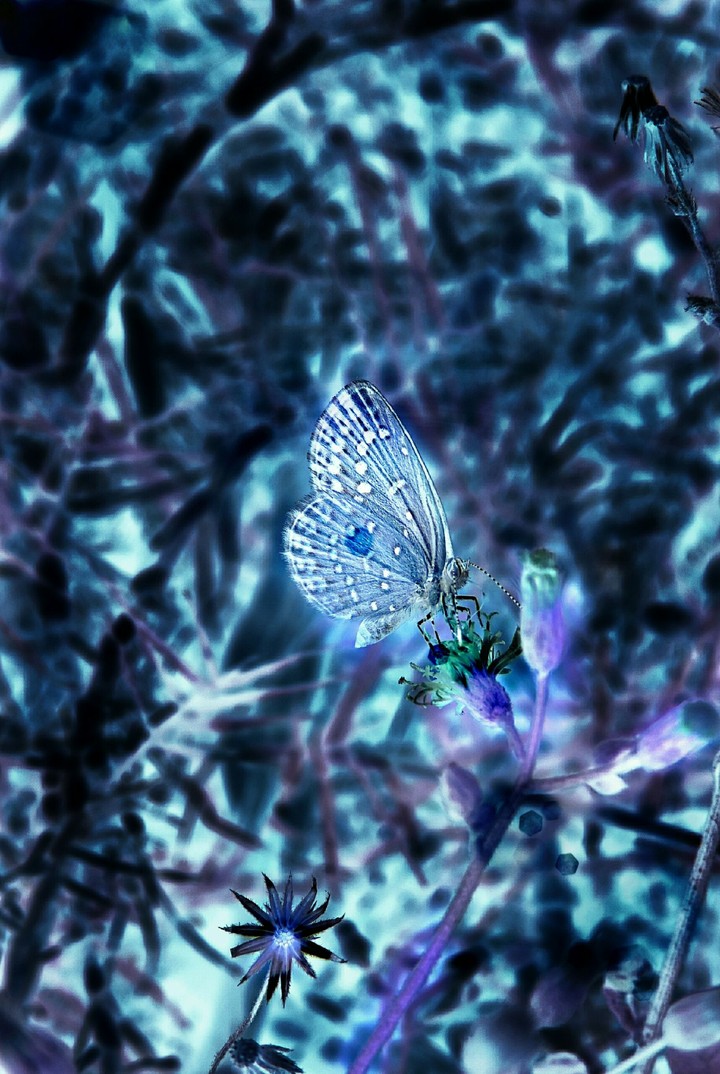 Negative