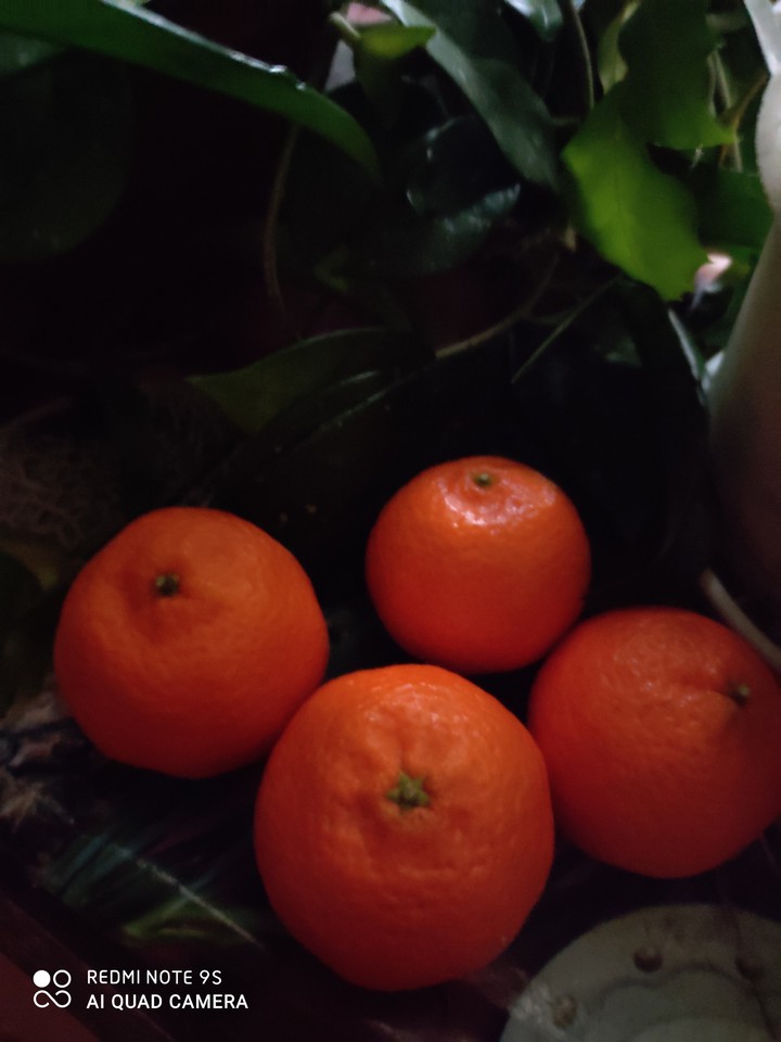 мандарины