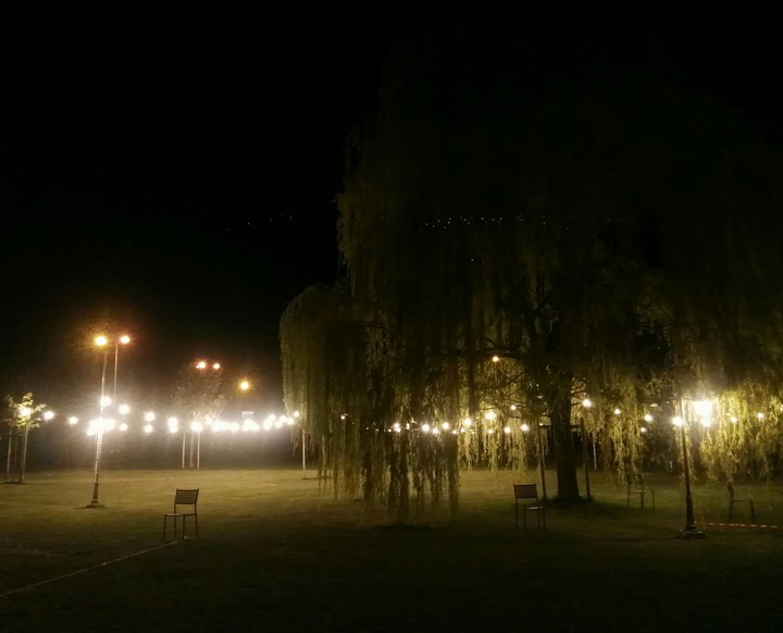 lights in the dark
