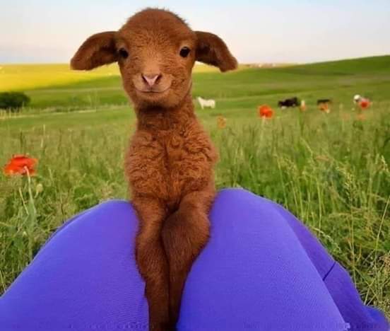 cute