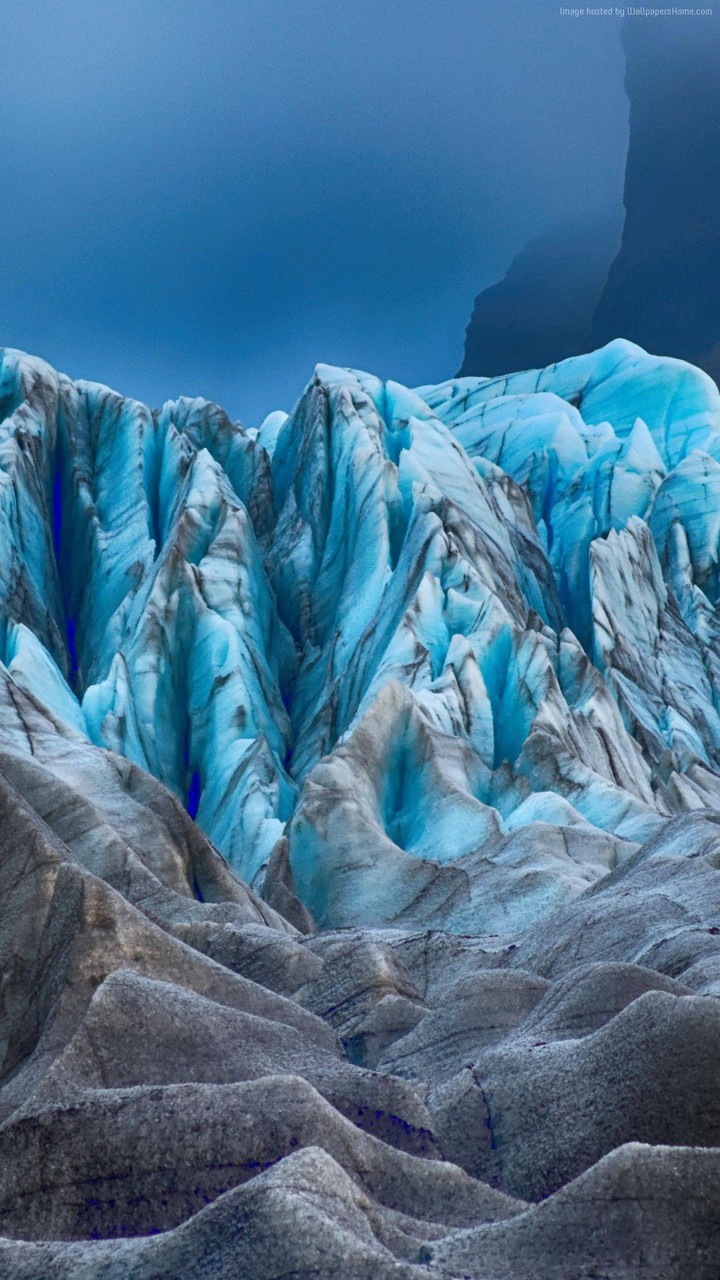 nz