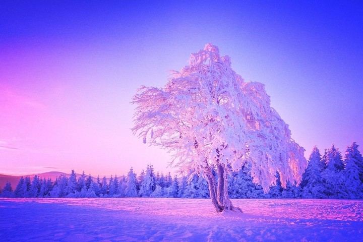 Hiver