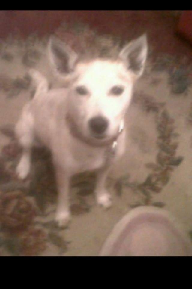 I miss her