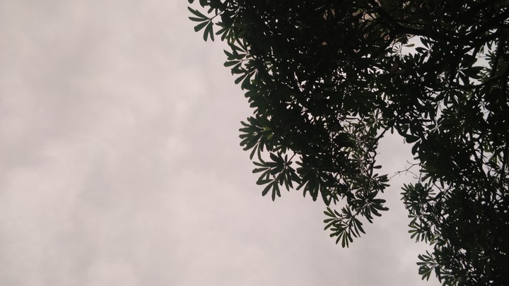 wanna fly