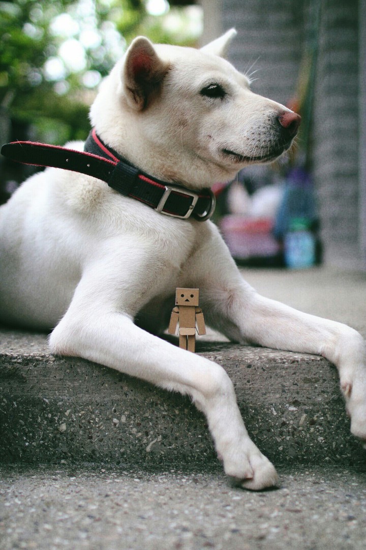 My Friend