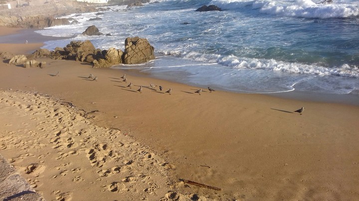 el mar en calma