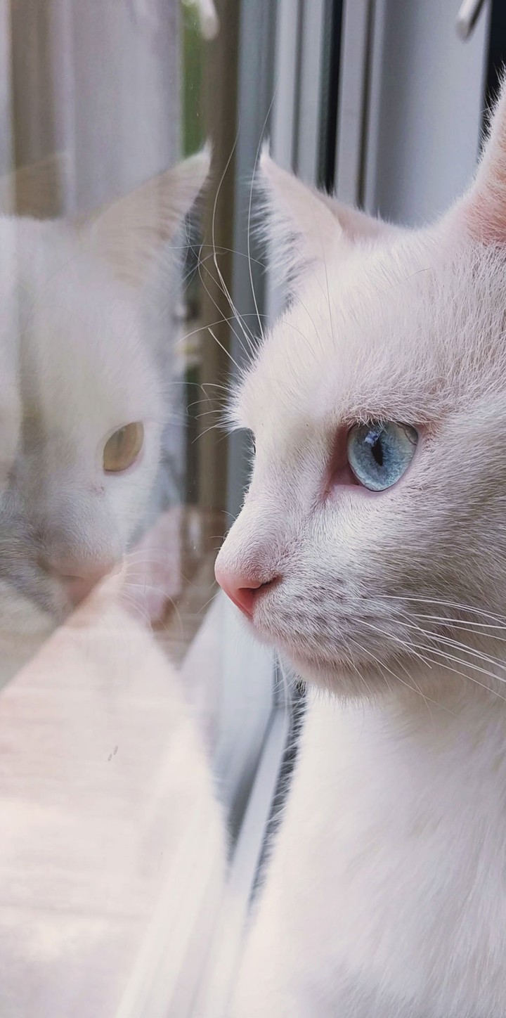 ♥