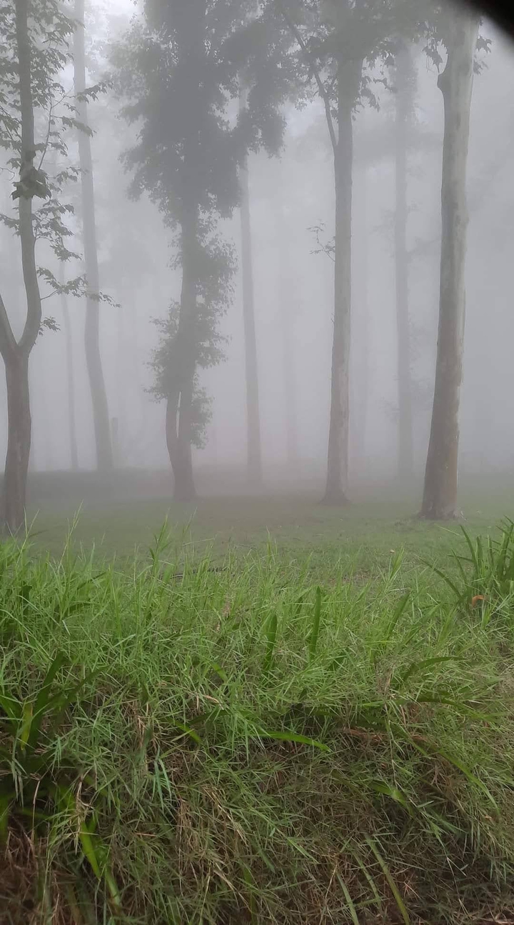 Xalapa