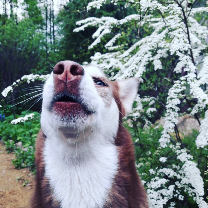 ❤