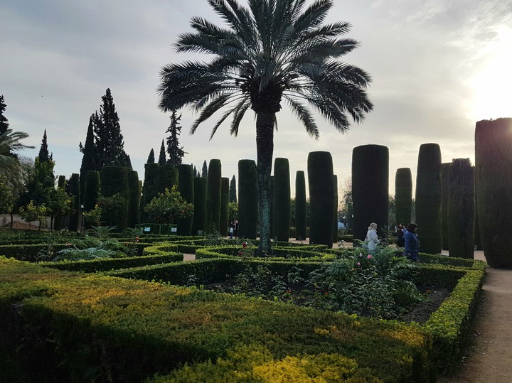 Jardin