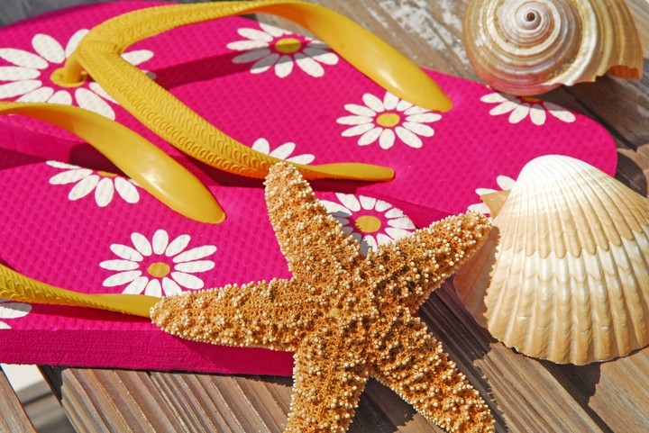 starfish