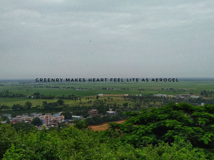 Nature Quote