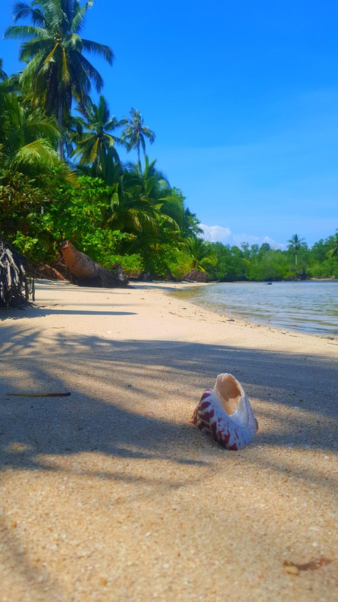 White Sand
