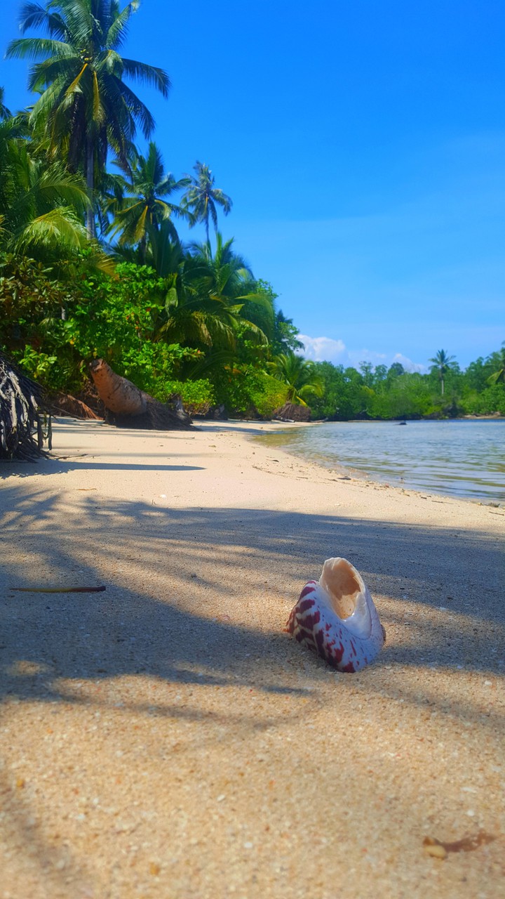 White Sand