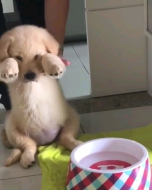 ?